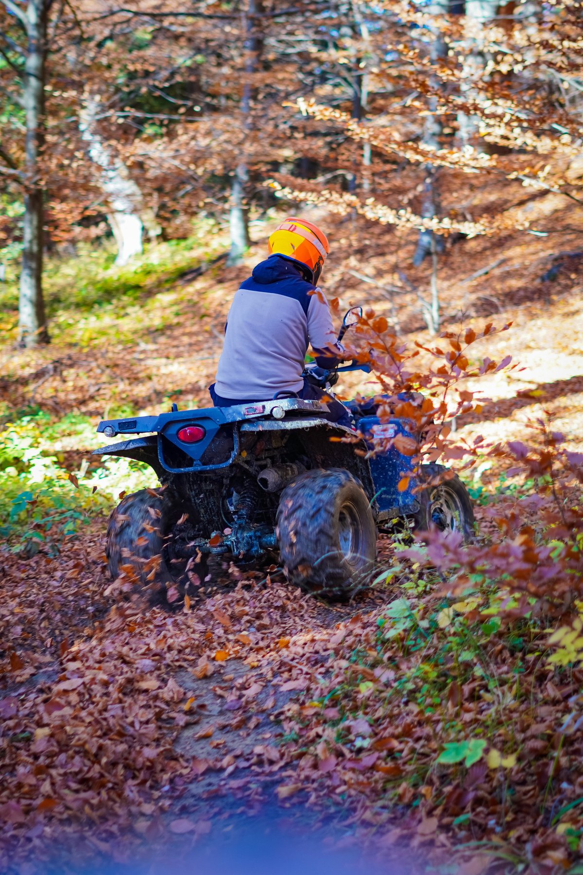 A helmeted rider in an orange helmet speeds a muddy quad bike through fallen leaves, with spinning wheels kicking up foliage