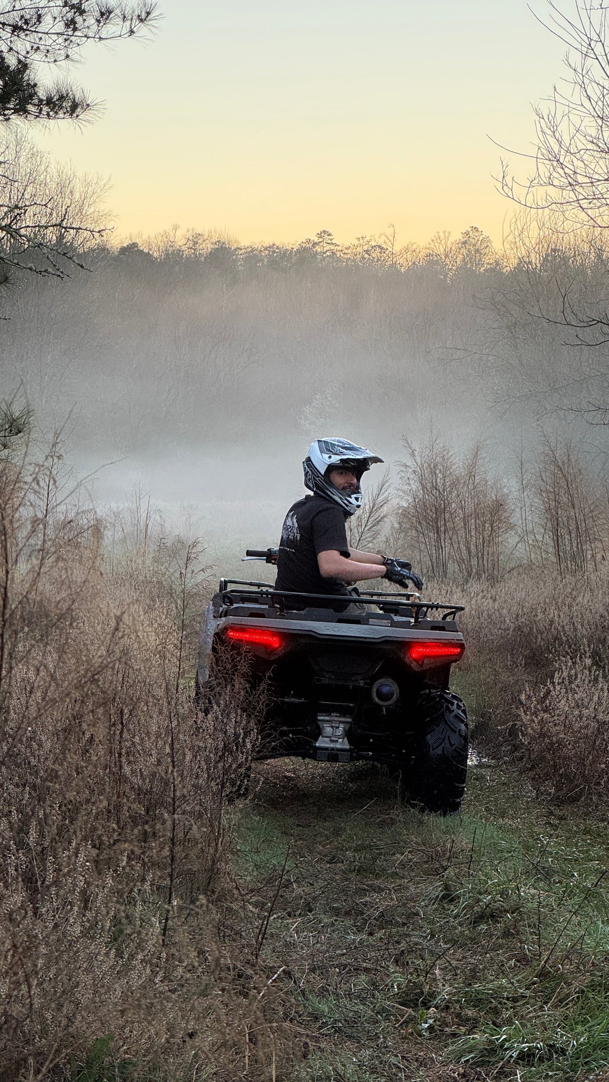 Person on black ATV in misty field surrounded by bare trees at sunrise or sunset